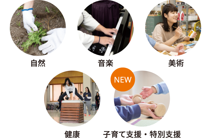 4つの分野